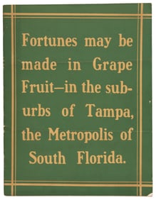 Grow grapefruit in Tampa Florida, 1910