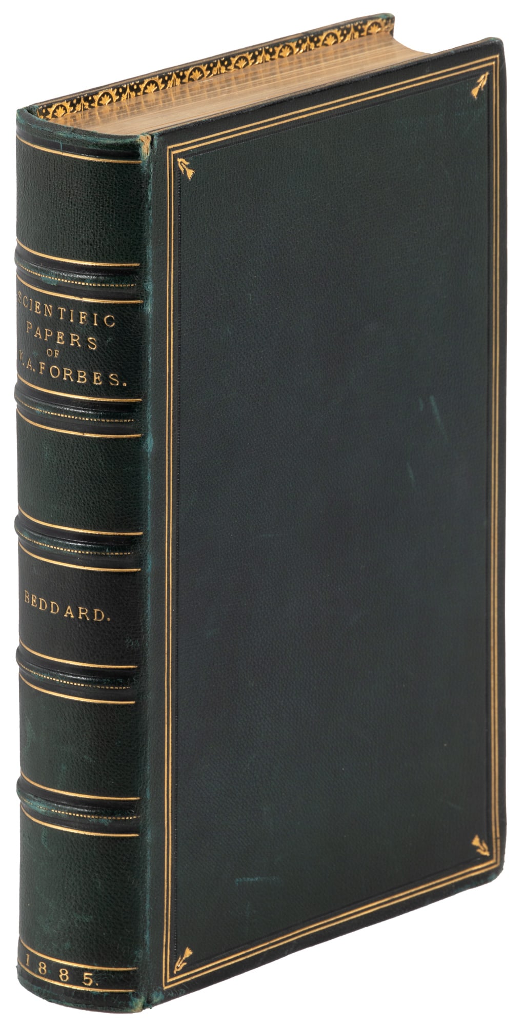 Forbes' papers with 15 hand-colored plates: Heading: Author: Forbes, William Alexander Title: The Collected Scientific Papers of the Late William Alexander Forbes Place Published: London Publisher:R.H. Porter Date Published: 1885 <