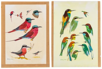With 8 stunning gouache paintings
