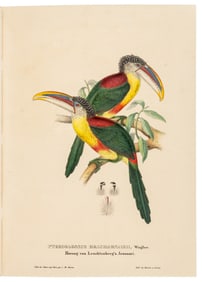 With 36 hand-colored plates of toucans