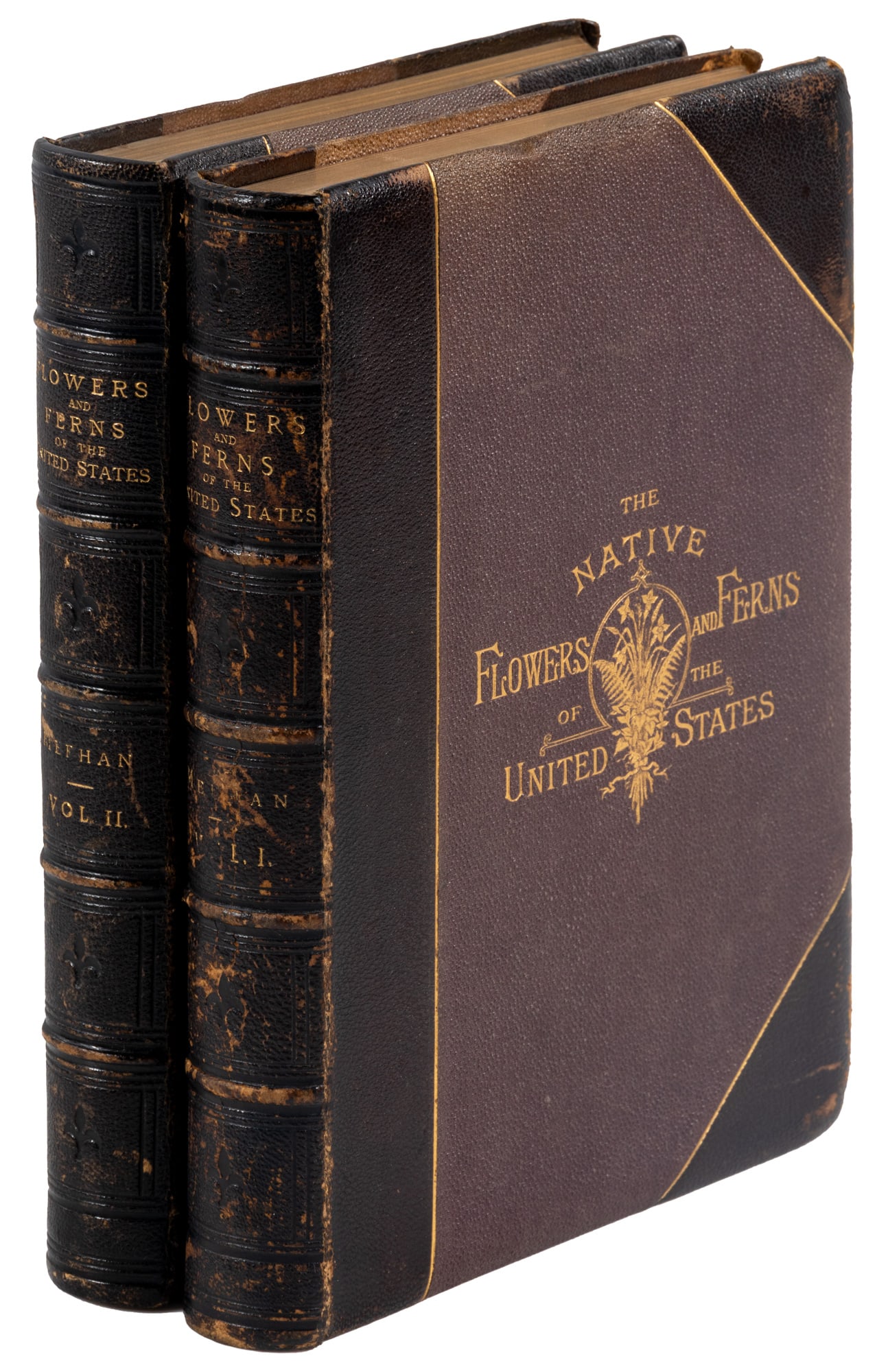 Botanical chromolithographs after Alois Lunzer (1 of 5)