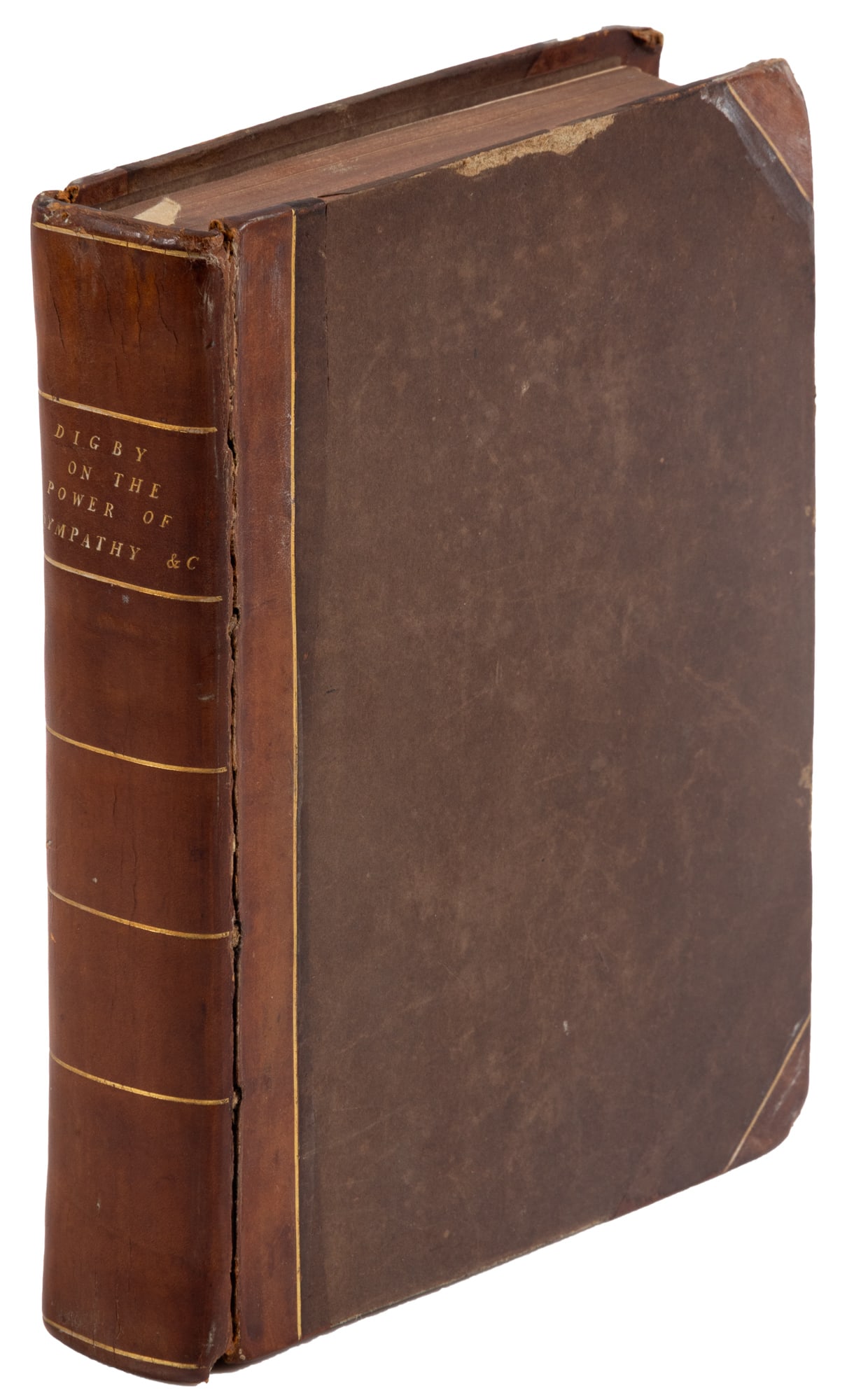 Kenelm Digby Powder of Sympathy 1669 (1 of 4)