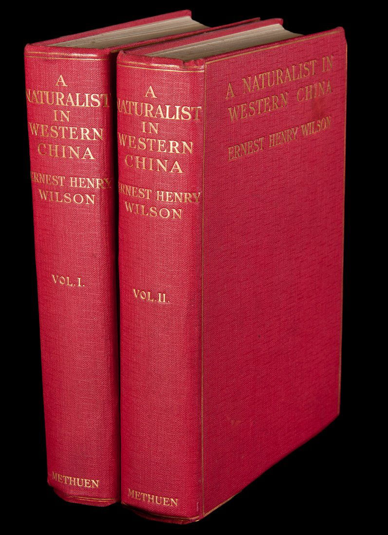 Naturalist in Western China With Vasculum, Camera (1 of 1)