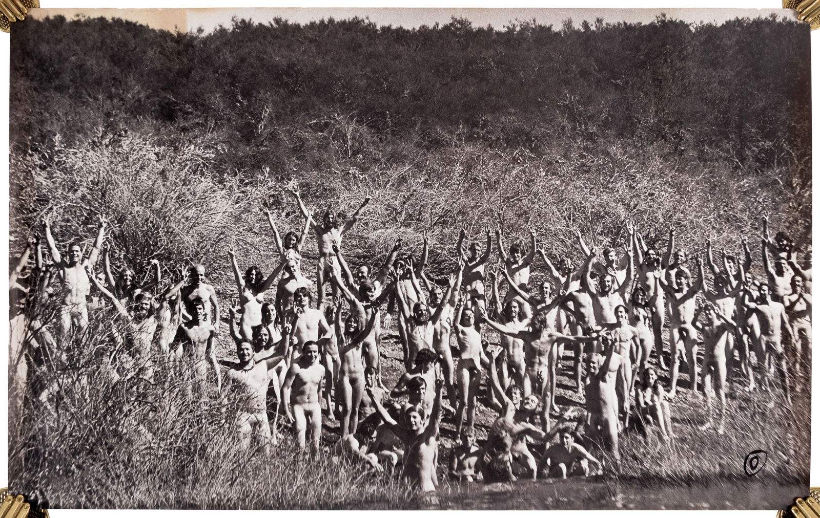 Public Gathering of Nudes photo 1970 (1 of 1)