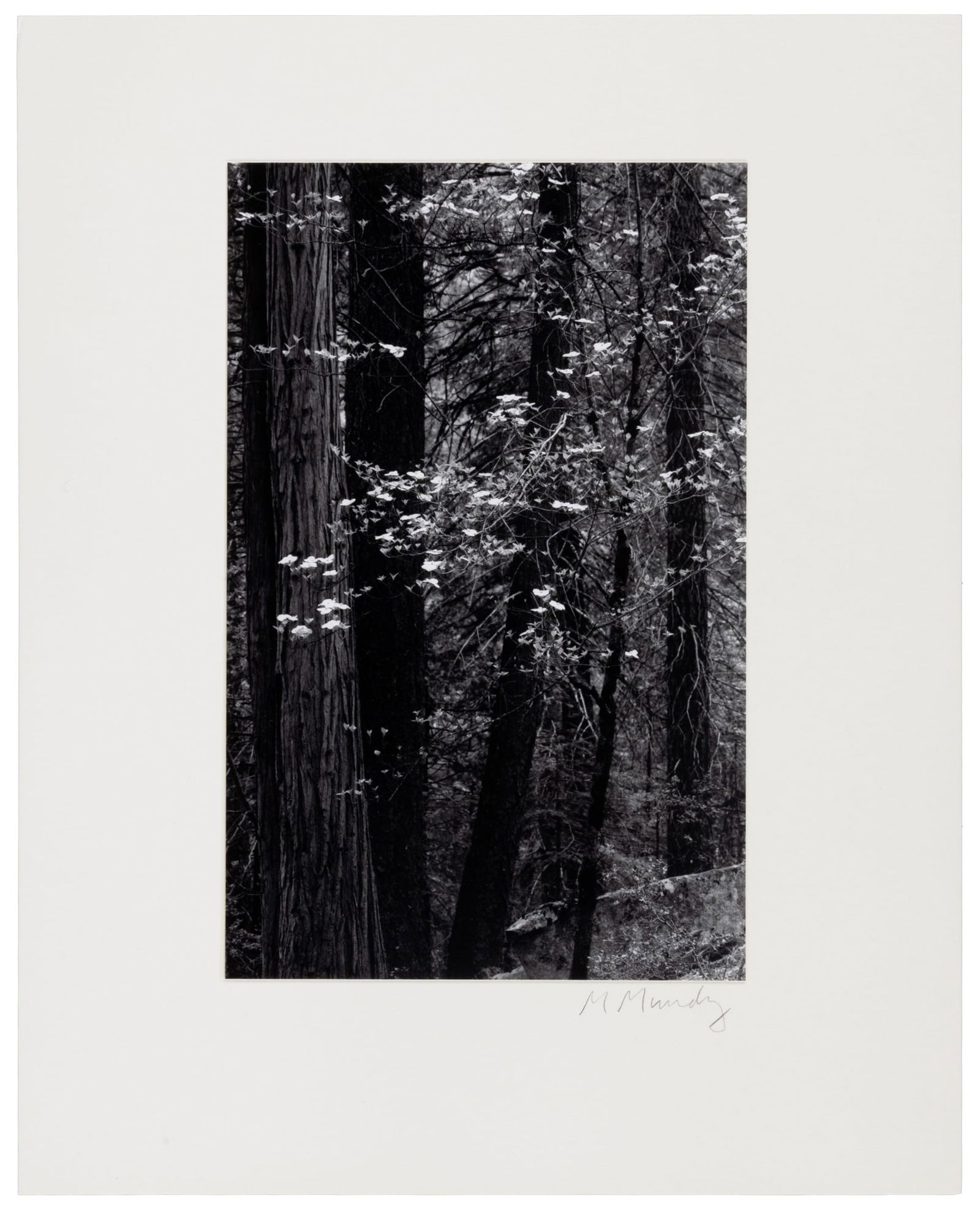 Signed by Gary Snyder and Michael Mundy (1 of 3)