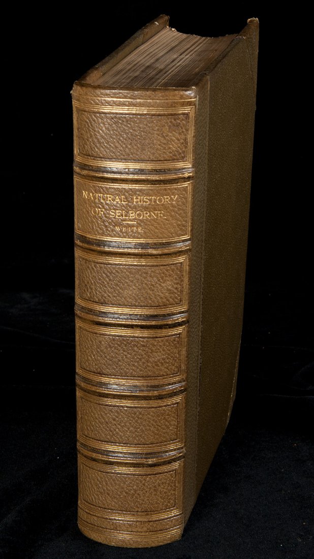 The Natural History of Selborne finely bound: Title: The Natural History of Selborne Author: White, Gilbert Description: Edited with notes by Grant Allen. xl, 528 pp. Illustrations by Edmund H. New. (Large 8vo) period green half morocco and cloth