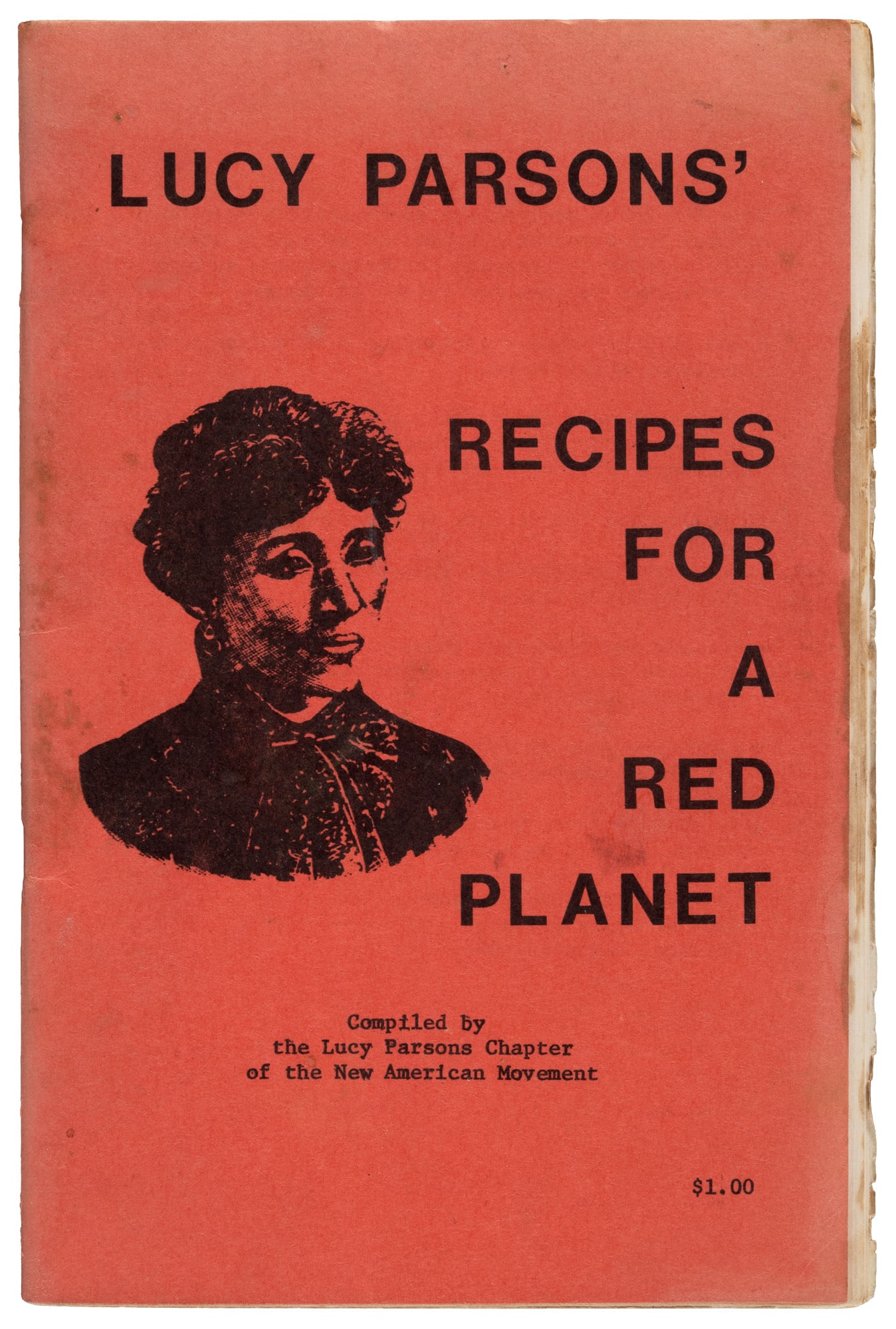New American Movement's cookbook for Socialists (1 of 1)