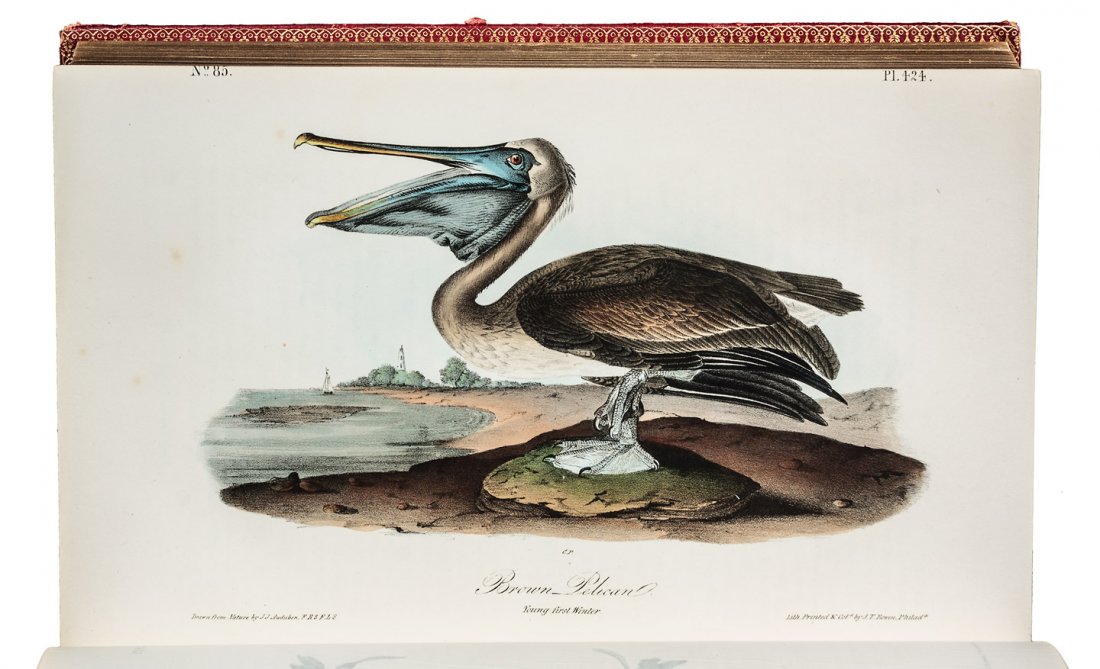 Volume 7 of Audubon's Birds 1844 1st Octavo Edn.: Title: The Birds of America, From Drawings Made in the United States and Their Territories. Volume VII Author: Audubon, John James Description: Volume VII only. ix, [1], [9]-371, [2] pp. Illustrated w