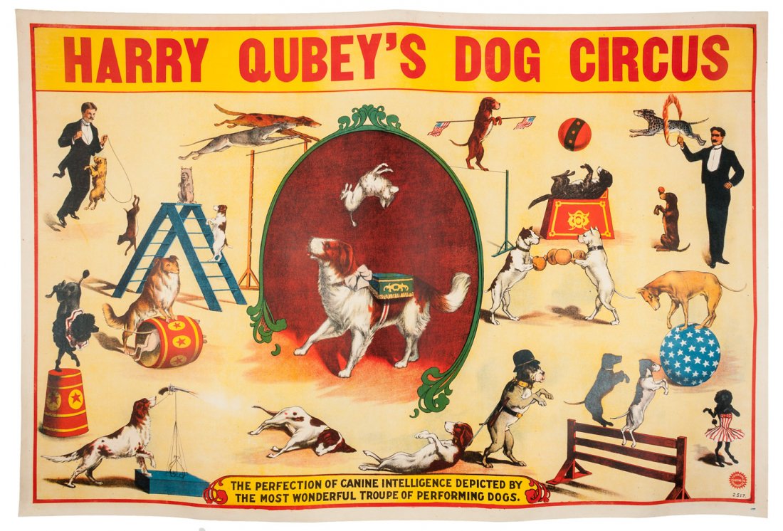 Wonderful poster of Harry Qubey's Dog Circus: Title: Poster for Harry Qubey's Dog Circus Author: Description: Color lithograph poster, approximately 71x105 cm (28x41¼"), new canvas backing. An interesting and color dog circus poster