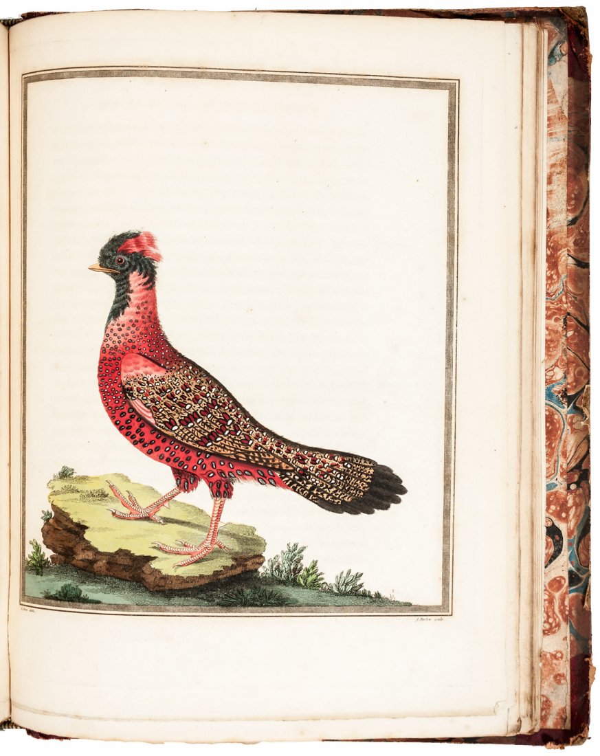 Pennant's History of India & Indonesia: Heading: Author: Pennant, Thomas Title: Outlines of the Globe Place Published: London Publisher:Printed by Henry Hughs / Luke Hanford Date Published: 1798-1800 Description: