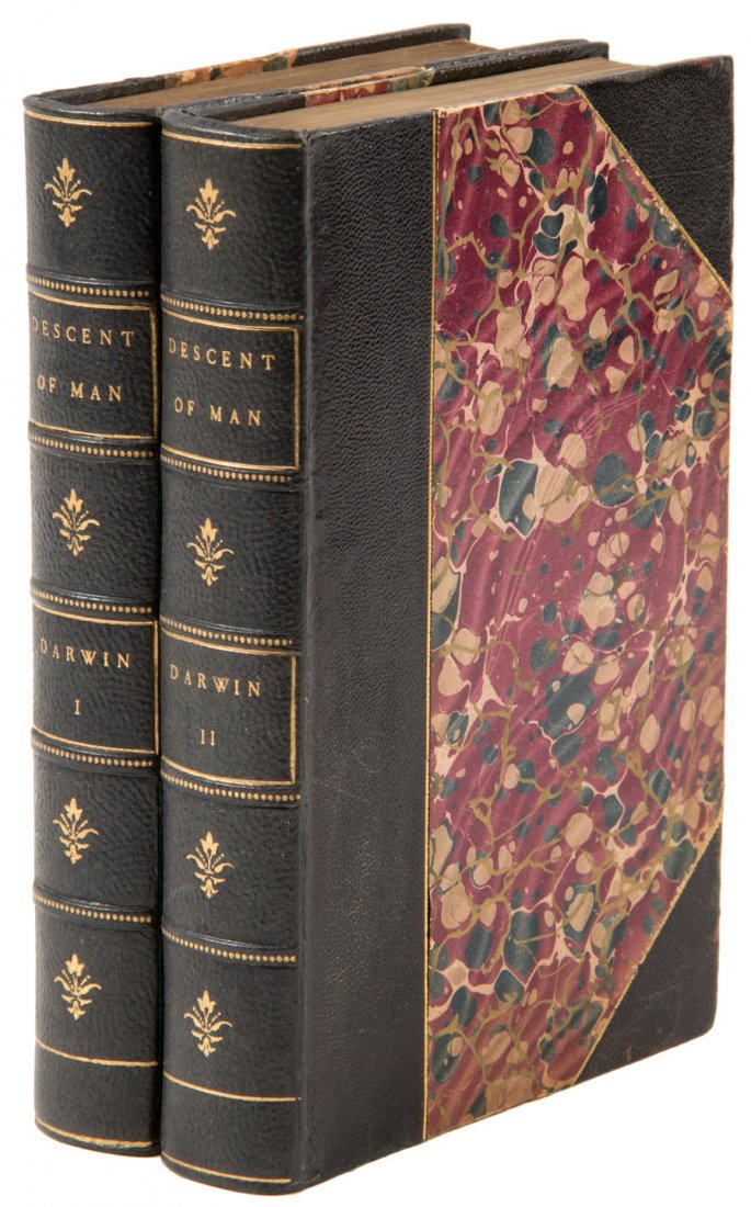 Darwin's Descent of Man First American Edition: Heading: Author: Darwin, Charles Title: The Descent of Man Place Published: New York Publisher:Appleton Date Published: 1871 Description: 2 vols. vi, 409; viii, 436 ad pp.