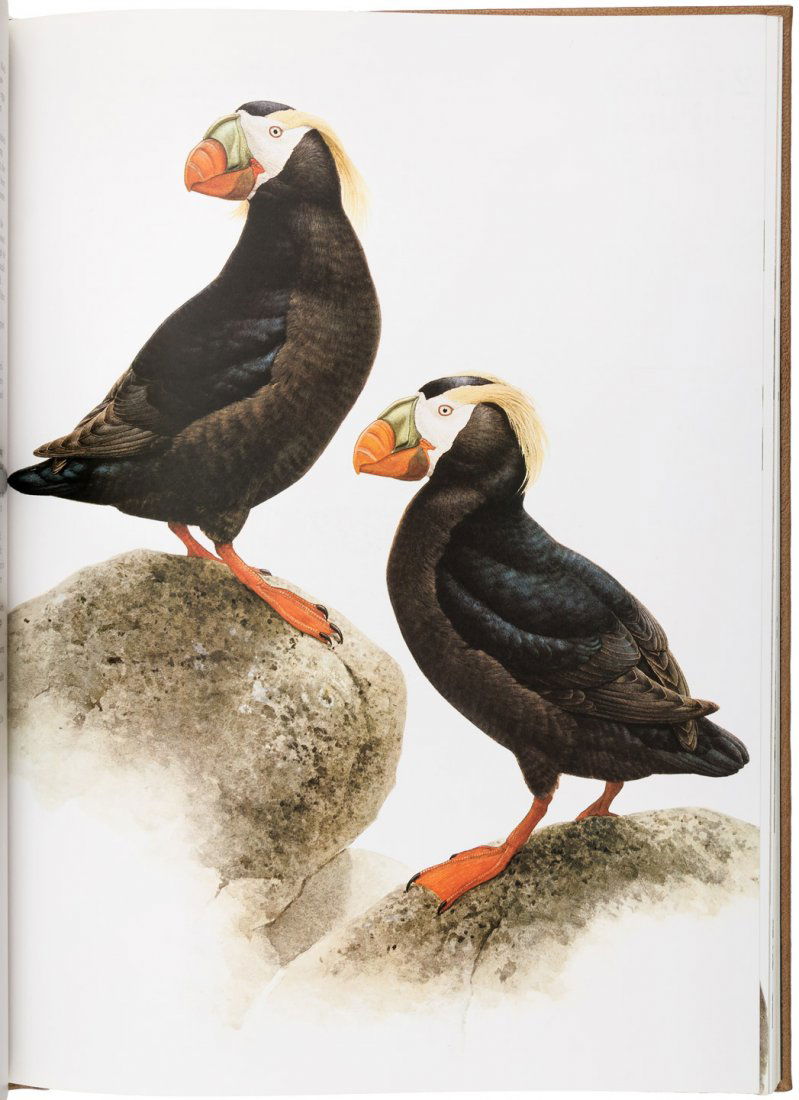 J. Fenwick Lansdowne Birds of the West Coast