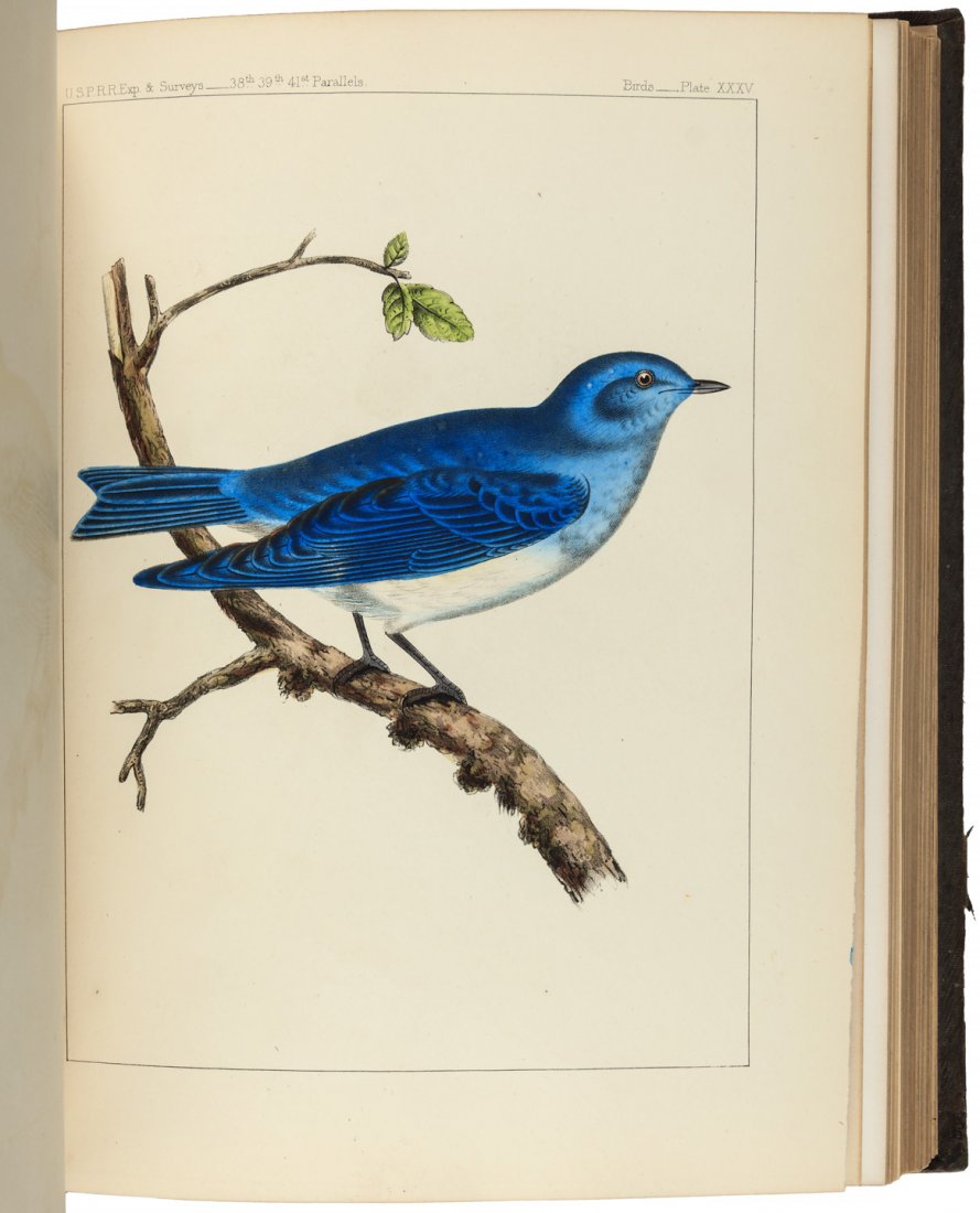 10 vols. of Pacific Railroad Surveys (1 of 7)