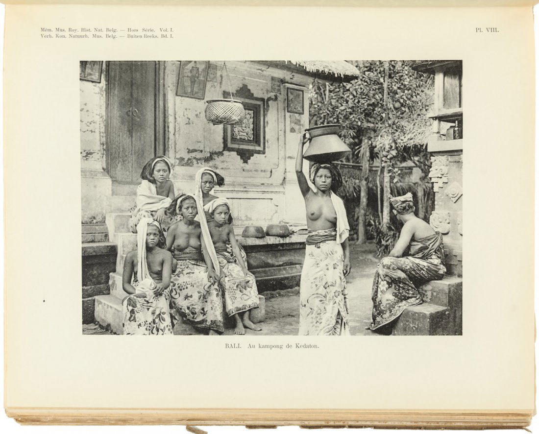 Expedition to East Indies: Heading: (Indonesia) Author: Straelen, Victor Émile van Title: Résultats scientifiques du voyage aux Indes orientales néerlandaises de LL. AA. RR. le prince et la princesse Léopold de Belgique Pla