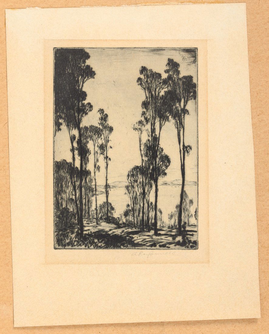 Etching of California Eucalyptus by Alfred Burrell (1 of 1)