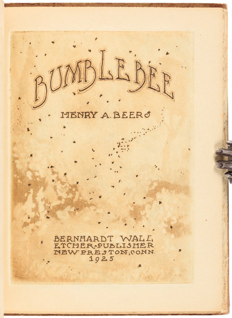 Bumblebee Bernhardt Wall etched book (1 of 2)