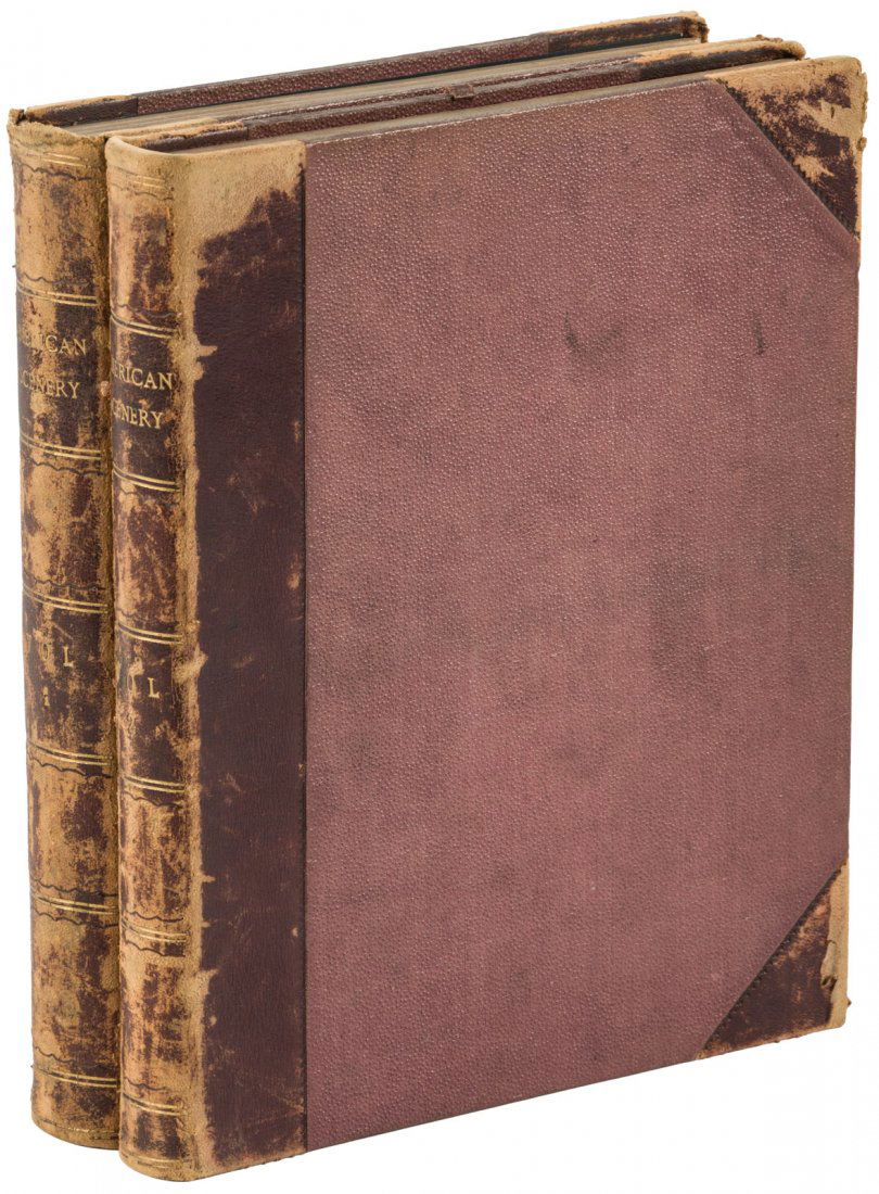 American Scenery, 1840 (1 of 2)