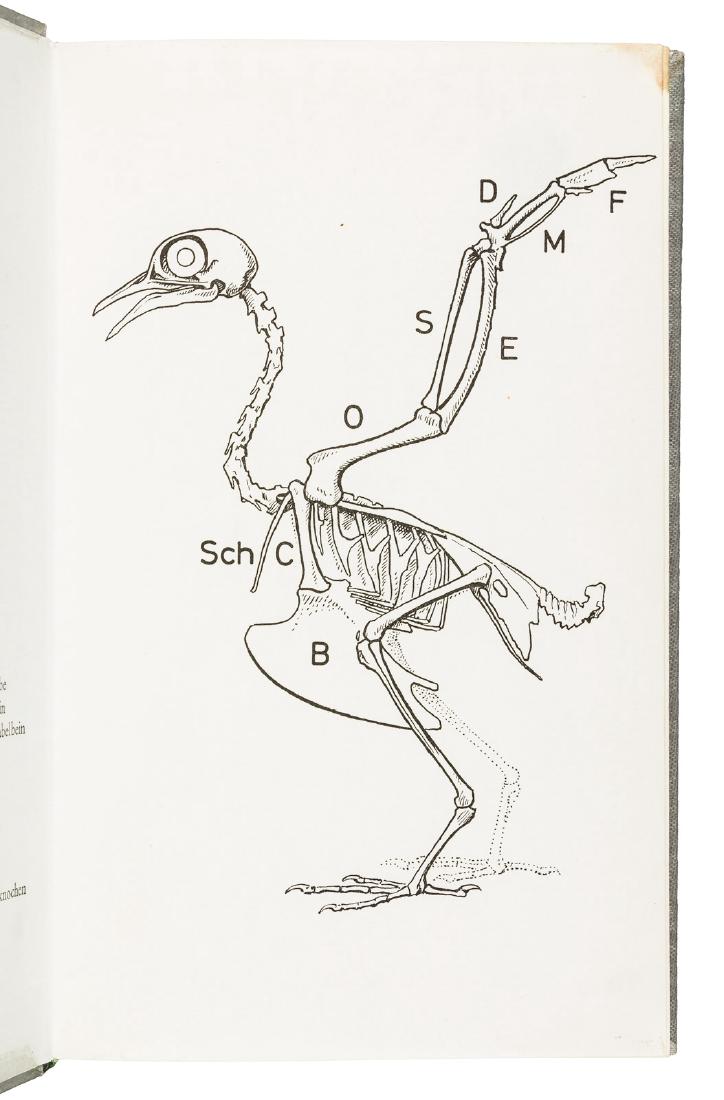 Lorenz, Der Vogelflug, signed (1 of 3)