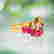 item-107174938=2