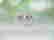 item-107175096=4