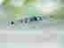 item-108597552=2