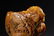 ANTIQUE TIANHUANG STONE CARVING OF CUP QING? - 9