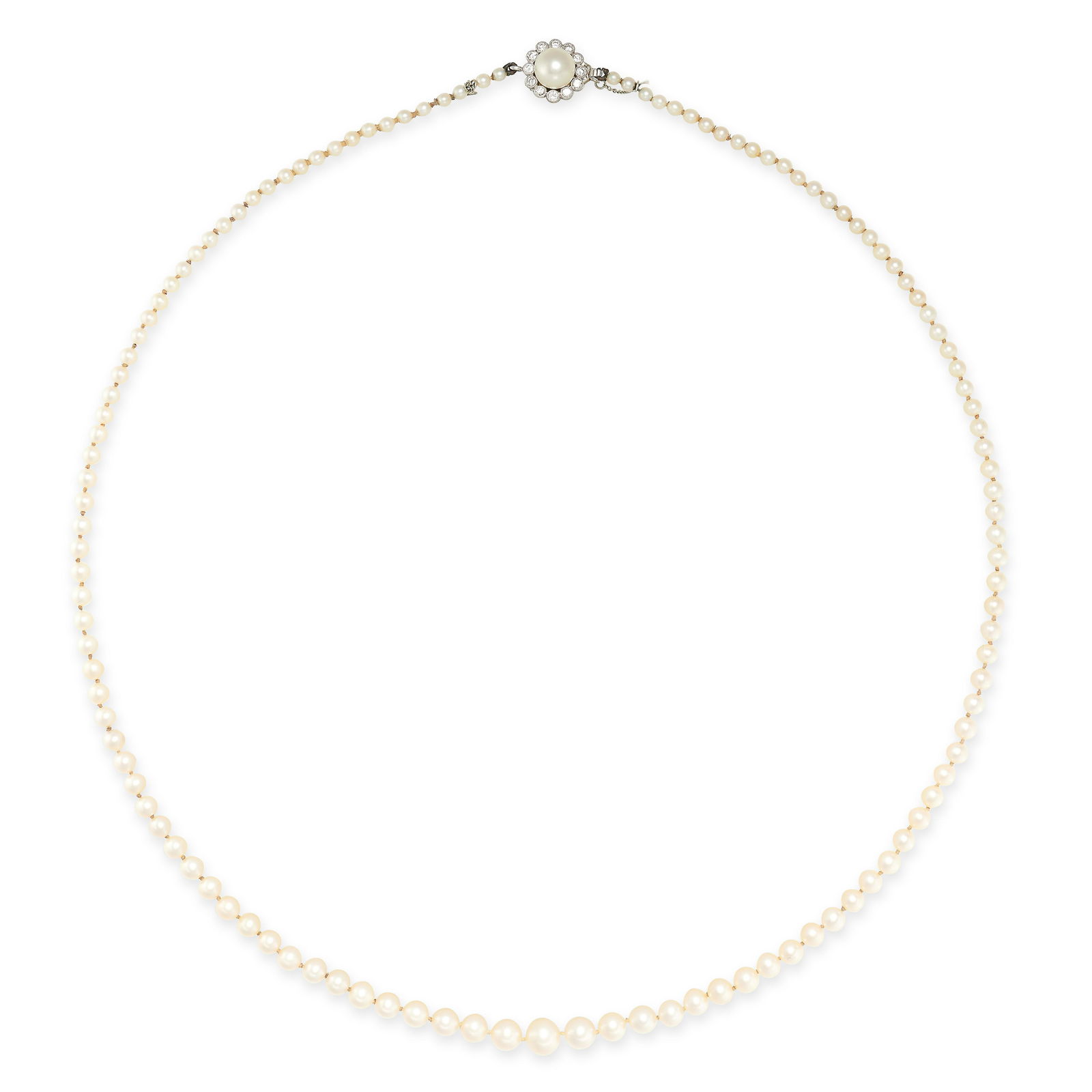 A PEARL AND DIAMOND NECKLACE in 18ct white gold, comprising a single row of graduated pearls ranging (1 of 1)