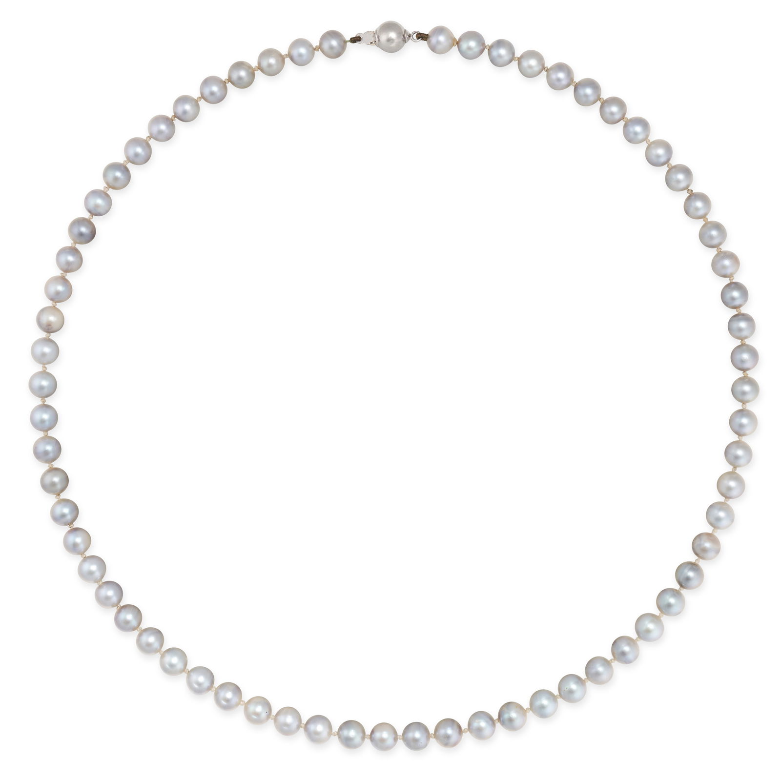 NO RESERVE - A GREY PEARL NECKLACE in 9ct white gold, comprising a single row of grey pearls, clasp (1 of 1)
