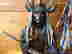item-71595020=4