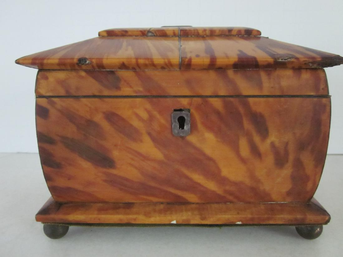 Georgian Shell Tea Caddy (1 of 4)