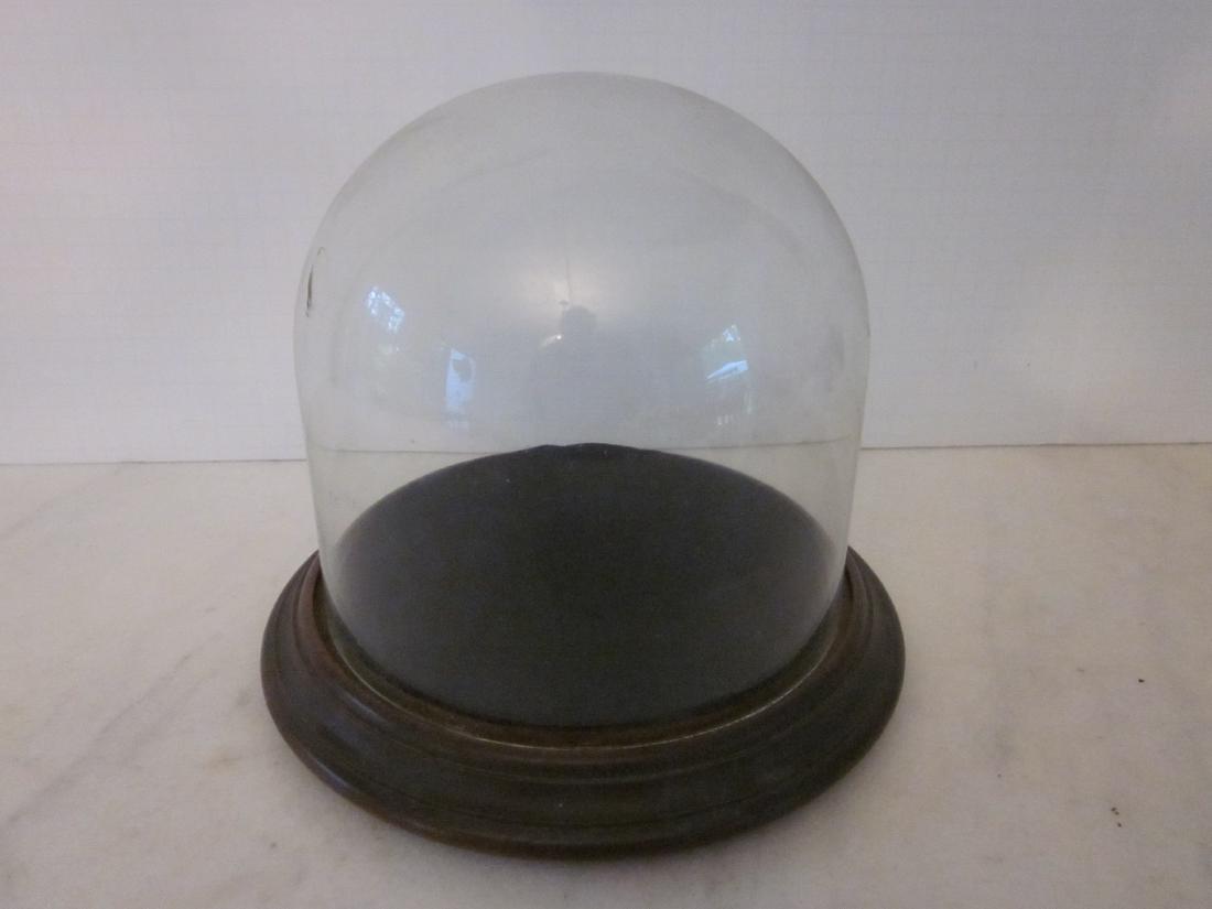 2 19thC Glass Display Domes (1 of 4)
