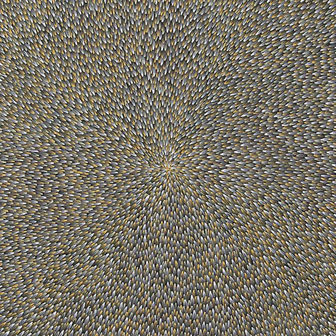 Loy, Abie Kemarre (1972-) Bush Leaves 2012: synthetic polymer paint on Belgian linen167 x 167 cmARTWORK DETAILSUnder Eastern Anmatyerr Law, Abie Loy Kemarre has the right to portray several Dreamings. These include the Bush Hen and Bush Leaf Dr