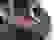 item-72182454=7