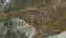 item-73741356=6