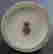 item-82169985=7