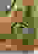 item-102672415=5