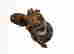 item-119815412=3
