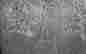 item-127278414=3