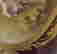item-129341943=4