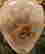 item-129341984=6