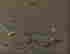 item-129341999=4