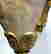 item-129342057=6