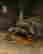 item-129342059=3