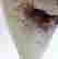 item-129342063=5