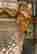 item-129342100=5