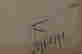 item-129342150=4
