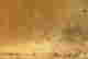 item-129514681=5