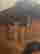 item-131297752=12