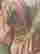 item-131297752=6