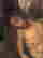 item-131297752=9